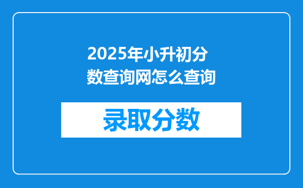 2025年小升初分数查询网怎么查询