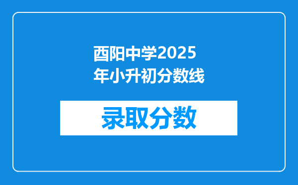 酉阳中学2025年小升初分数线