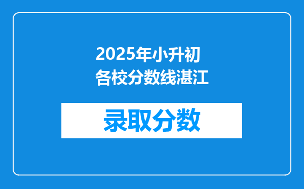 2025年小升初各校分数线湛江