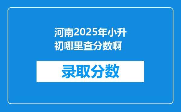 河南2025年小升初哪里查分数啊