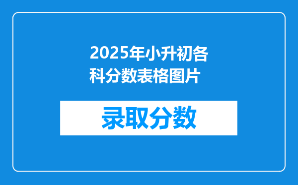 2025年小升初各科分数表格图片