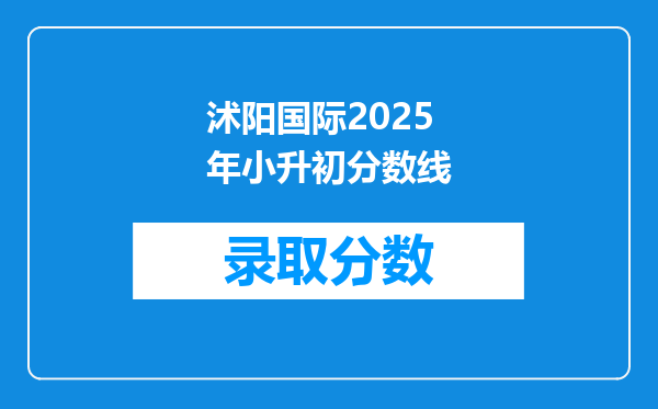 沭阳国际2025年小升初分数线