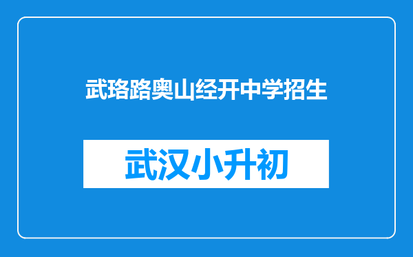 武珞路奥山经开中学招生