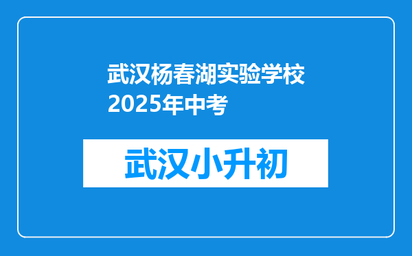 武汉杨春湖实验学校2025年中考