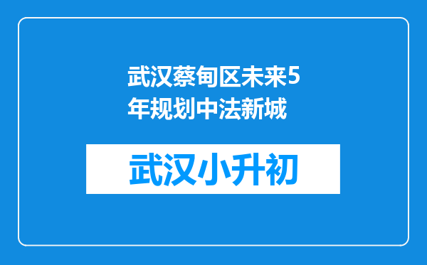 武汉蔡甸区未来5年规划中法新城