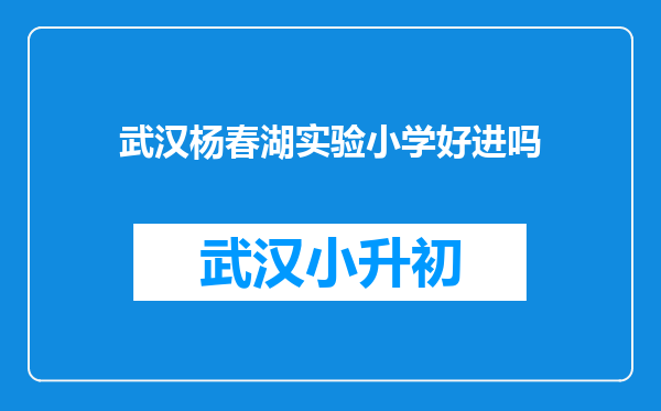 武汉杨春湖实验小学好进吗