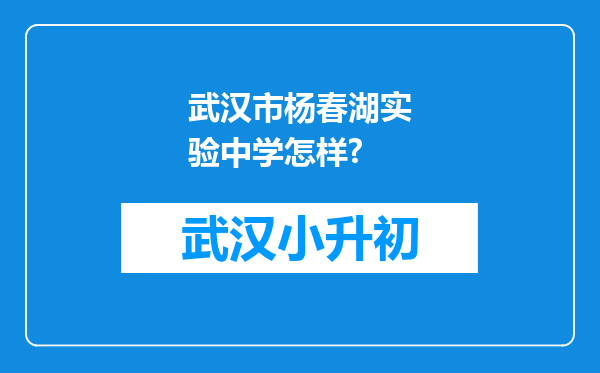 武汉市杨春湖实验中学怎样?