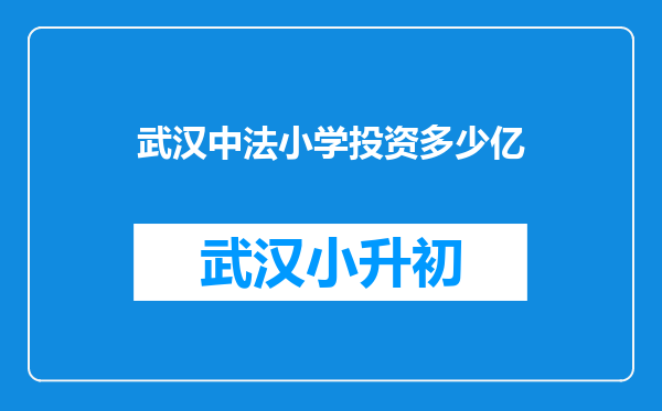 武汉中法小学投资多少亿