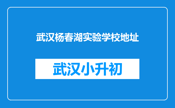 武汉杨春湖实验学校地址