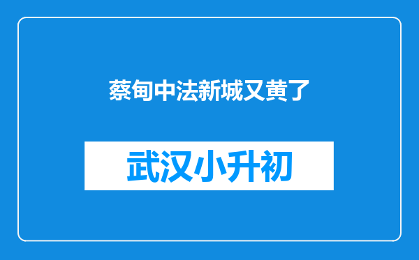 蔡甸中法新城又黄了