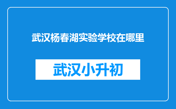 武汉杨春湖实验学校在哪里