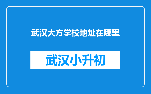 武汉大方学校地址在哪里