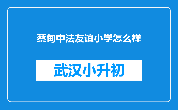 蔡甸中法友谊小学怎么样