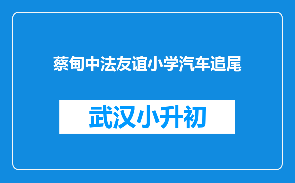 蔡甸中法友谊小学汽车追尾