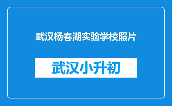 武汉杨春湖实验学校照片