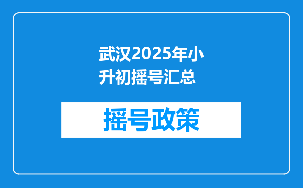 武汉2025年小升初摇号汇总