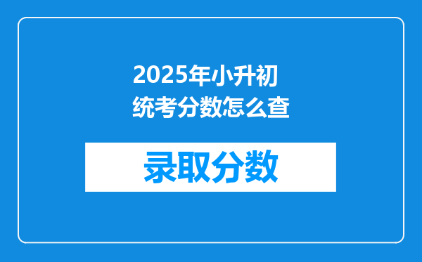 2025年小升初统考分数怎么查